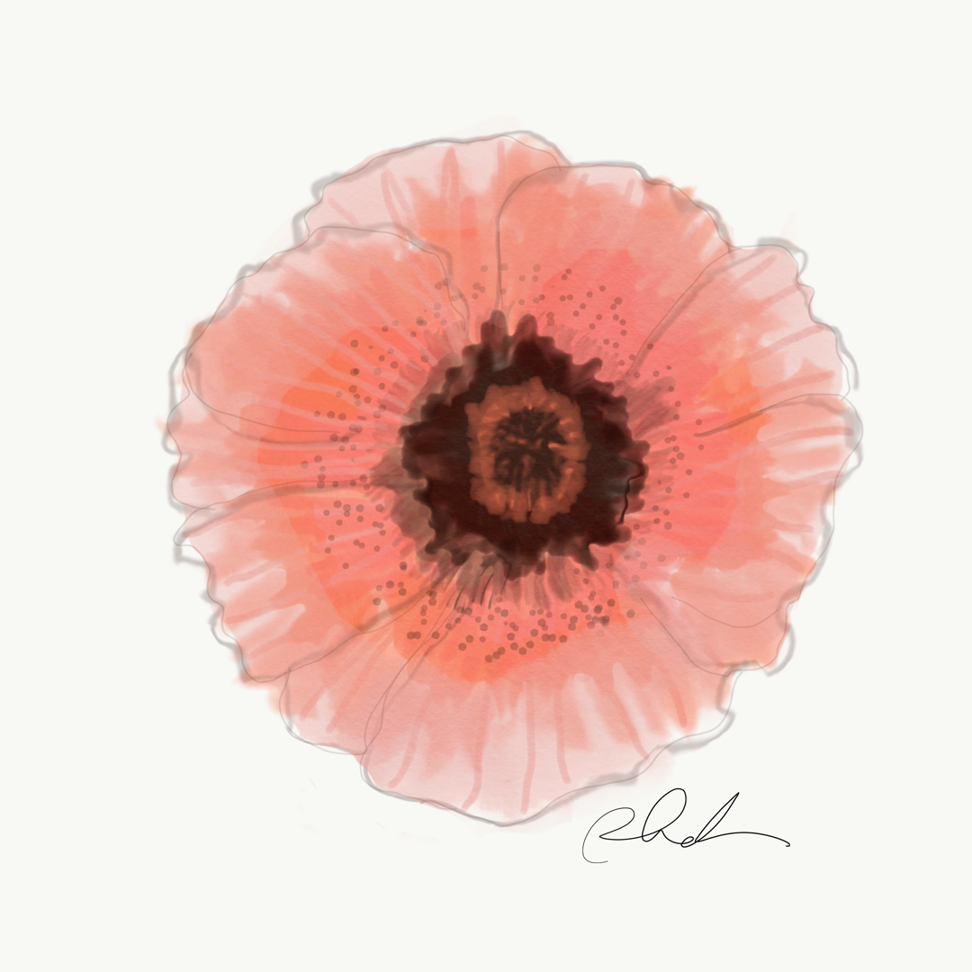 Orange Poppy