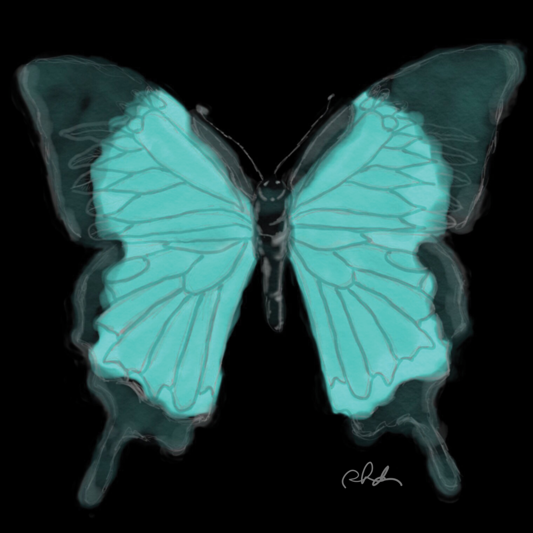 Aqua Butterfly